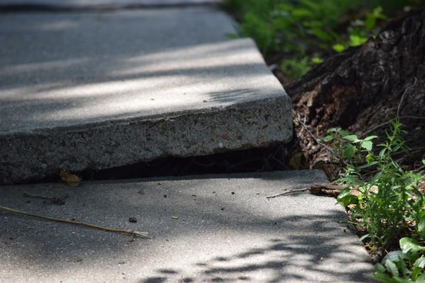 Sidewalk Leveling in Davenport